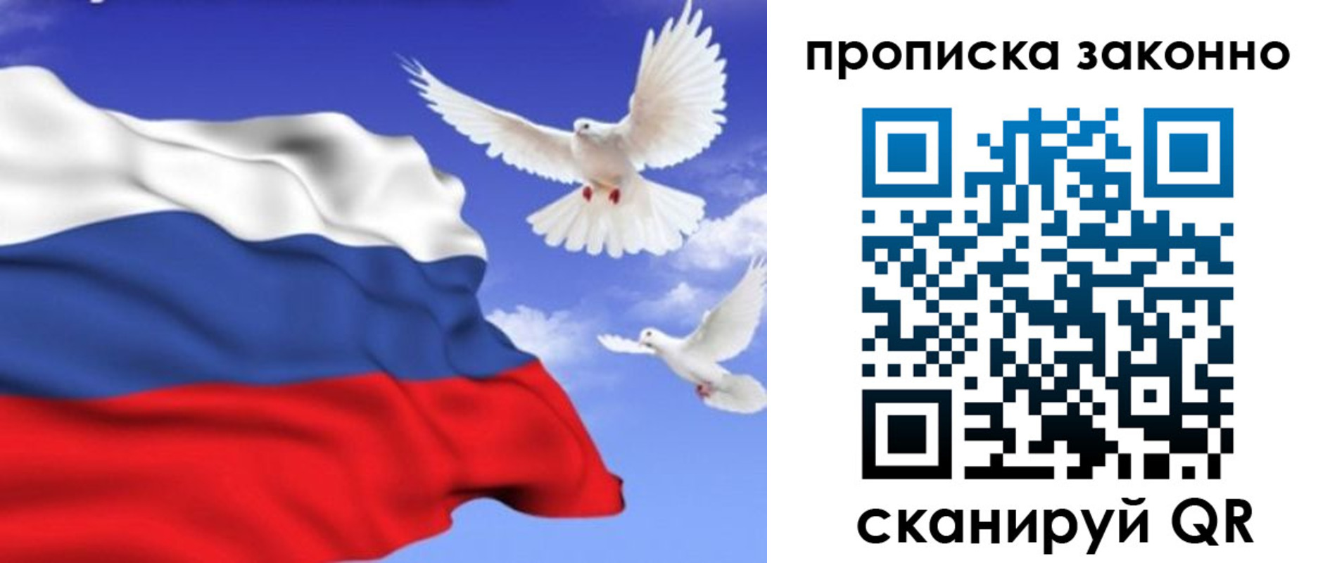 прописка в Новомичуринске